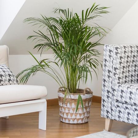 Apartamento Boutique Con Terraza Y Vistas Al Mar. Porto Vilanova Villanueva De Arosa Εξωτερικό φωτογραφία